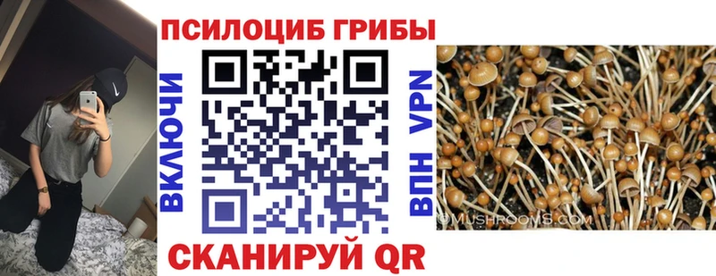 как найти наркотики Бакал Псилоцибиновые грибы MAGIC MUSHROOMS